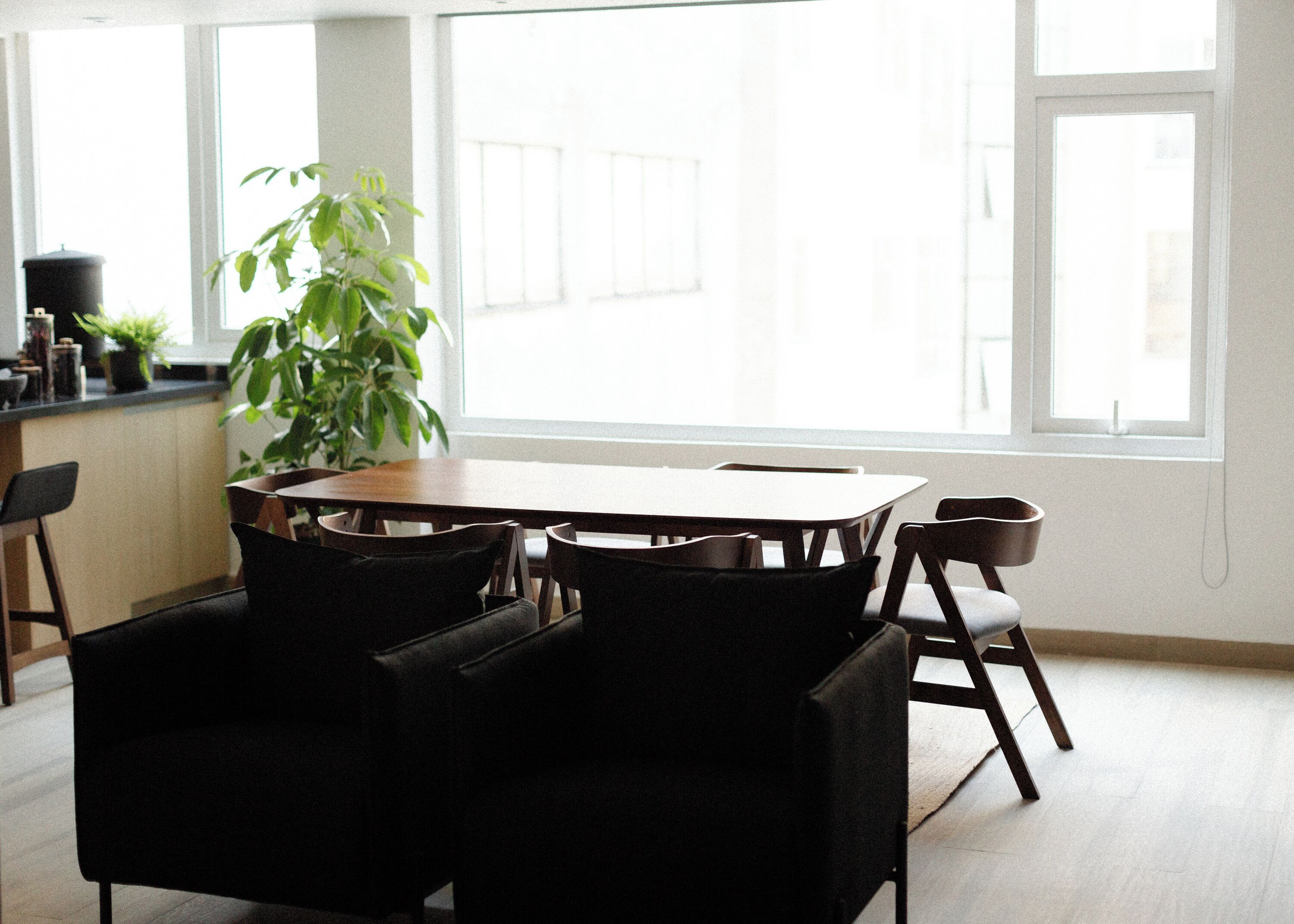 Un coin repas avec une table ronde et des chaises, une plante en pot, et une vue sur l’extérieur grâce à de grandes fenêtres.