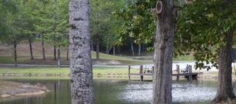 Great rental right in Eclectic area 