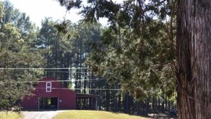 Ein rotes Bauernhaus mit einem Feldweg, der zu einem Teich führt, umgeben von Bäumen.