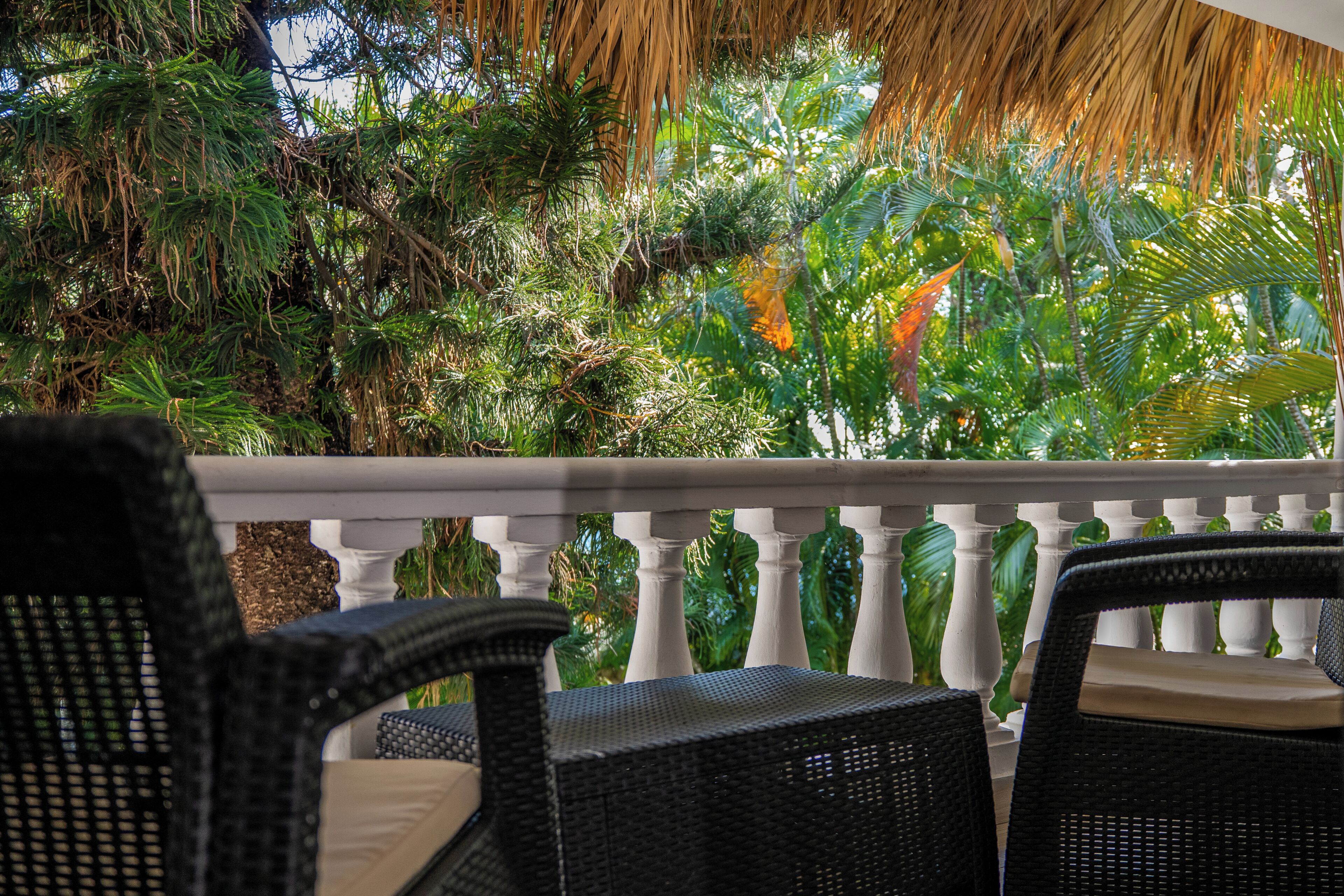 A balcony with wicker furniture, lush tropical plants, and a white balustrade.