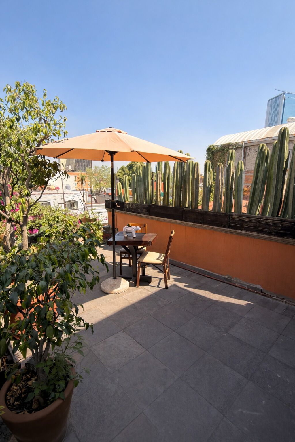 Kamer, privébadkamer | Terras