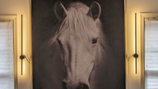 Un retrato grande de un caballo enmarcado, sobre una pared encima de un sofá color beige con cojines estampados.