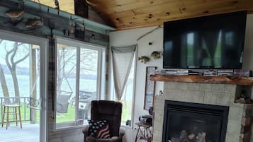 Televisión, chimenea y reproductor de DVD