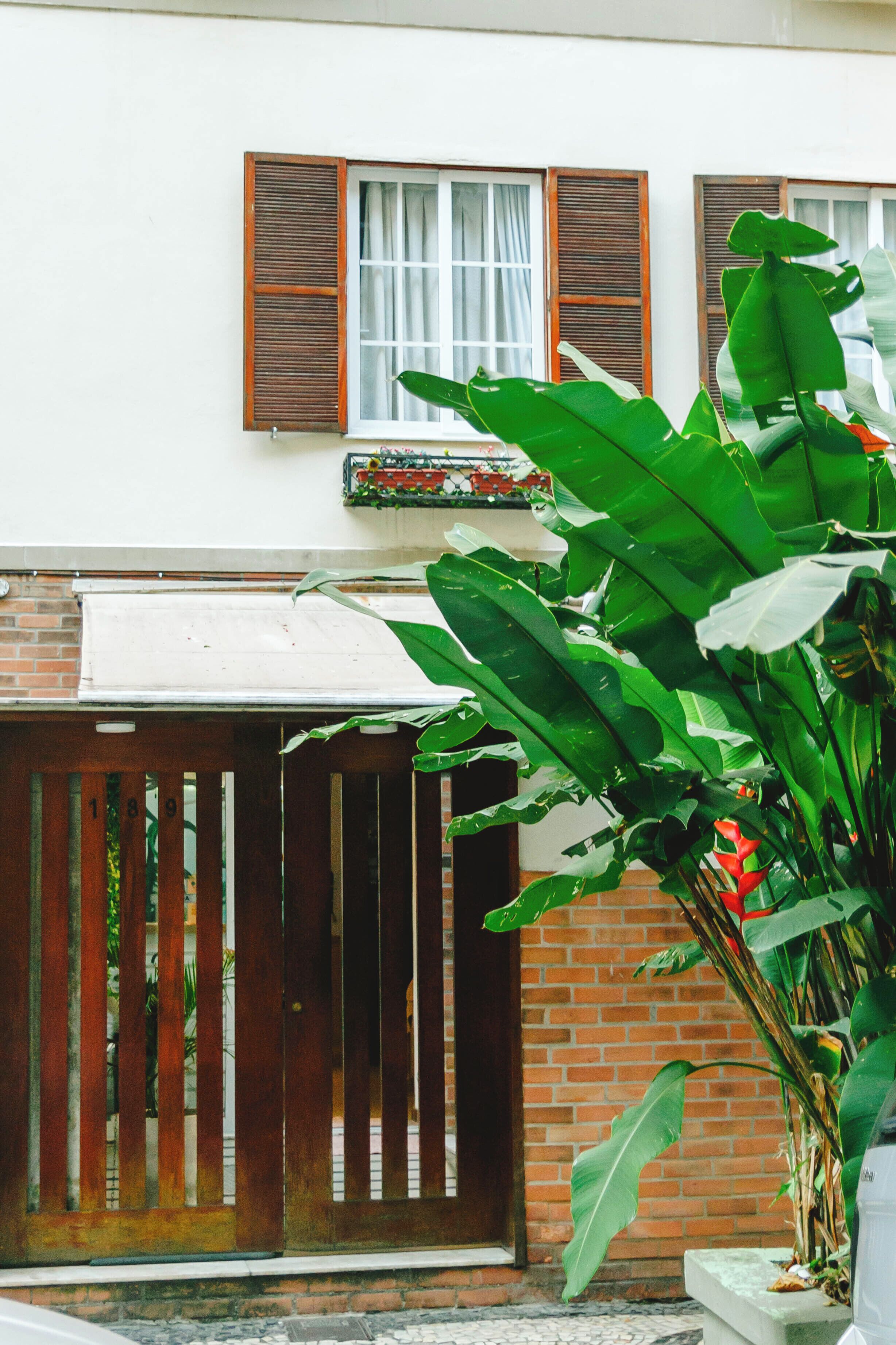 Photo - Palace Beach Hostel