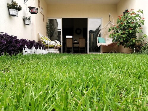 Casa Acogedora Minimalista Decorada con Naturaleza