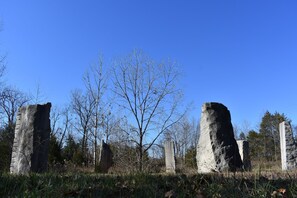 Miscellaneous