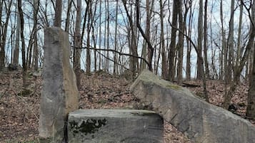 Miscellaneous