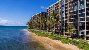 Un hôtel situé en bord de mer, avec plusieurs étages, des palmiers et une vue dégagée sur l’océan.