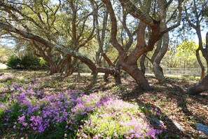 Áreas de la propiedad