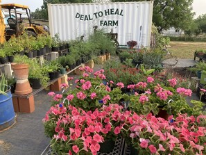 Área da propriedade