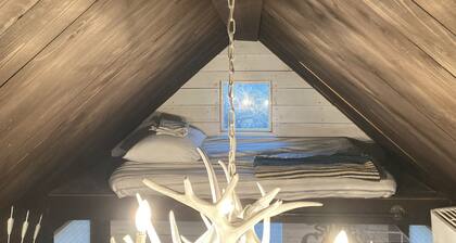 Tiny home nestled in a small patch of forest 20 minutes south of San Antonio.