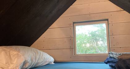 Tiny home nestled in a small patch of forest 20 minutes south of San Antonio.