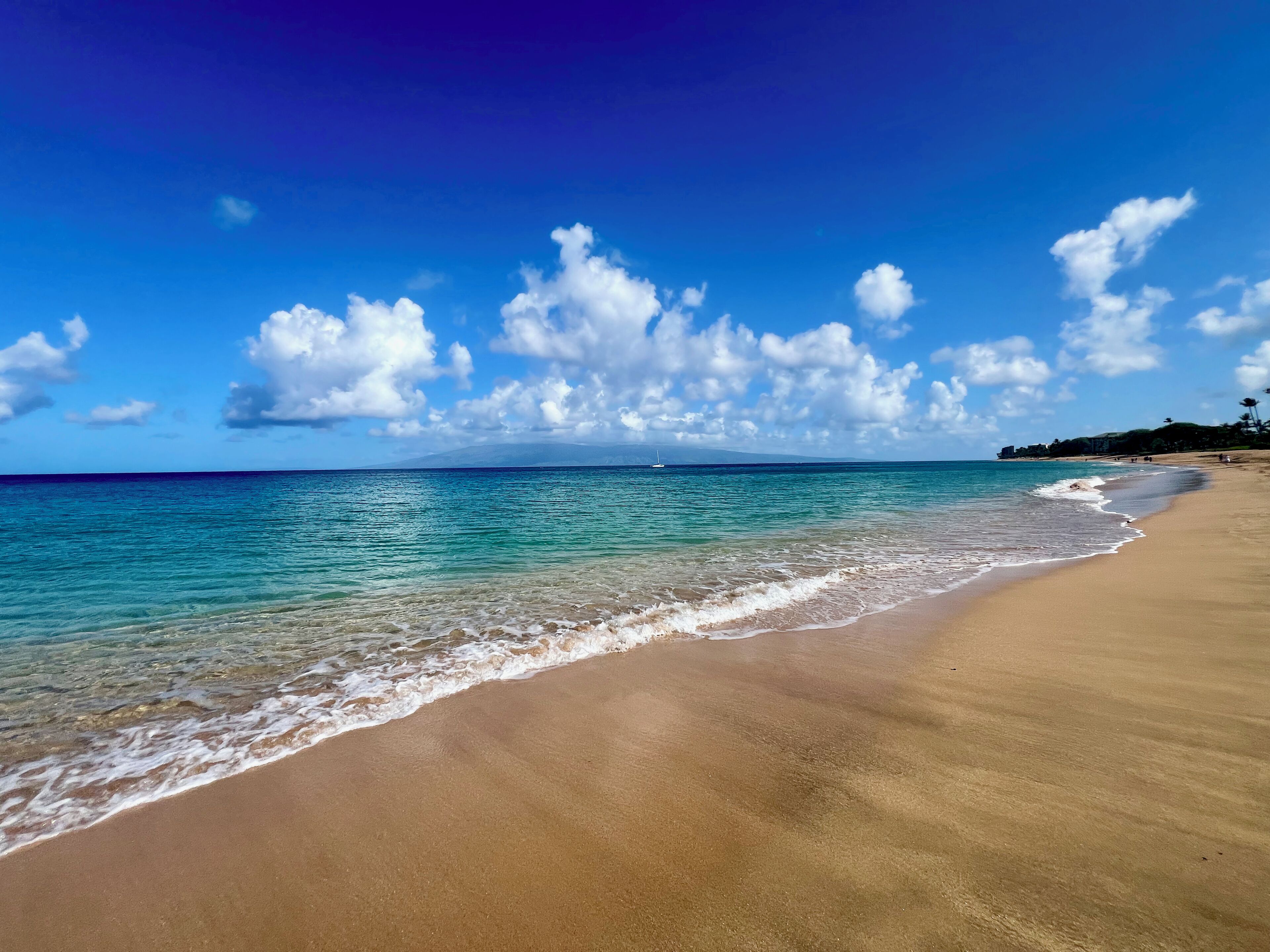 Plage, chaises longues, serviettes de plage