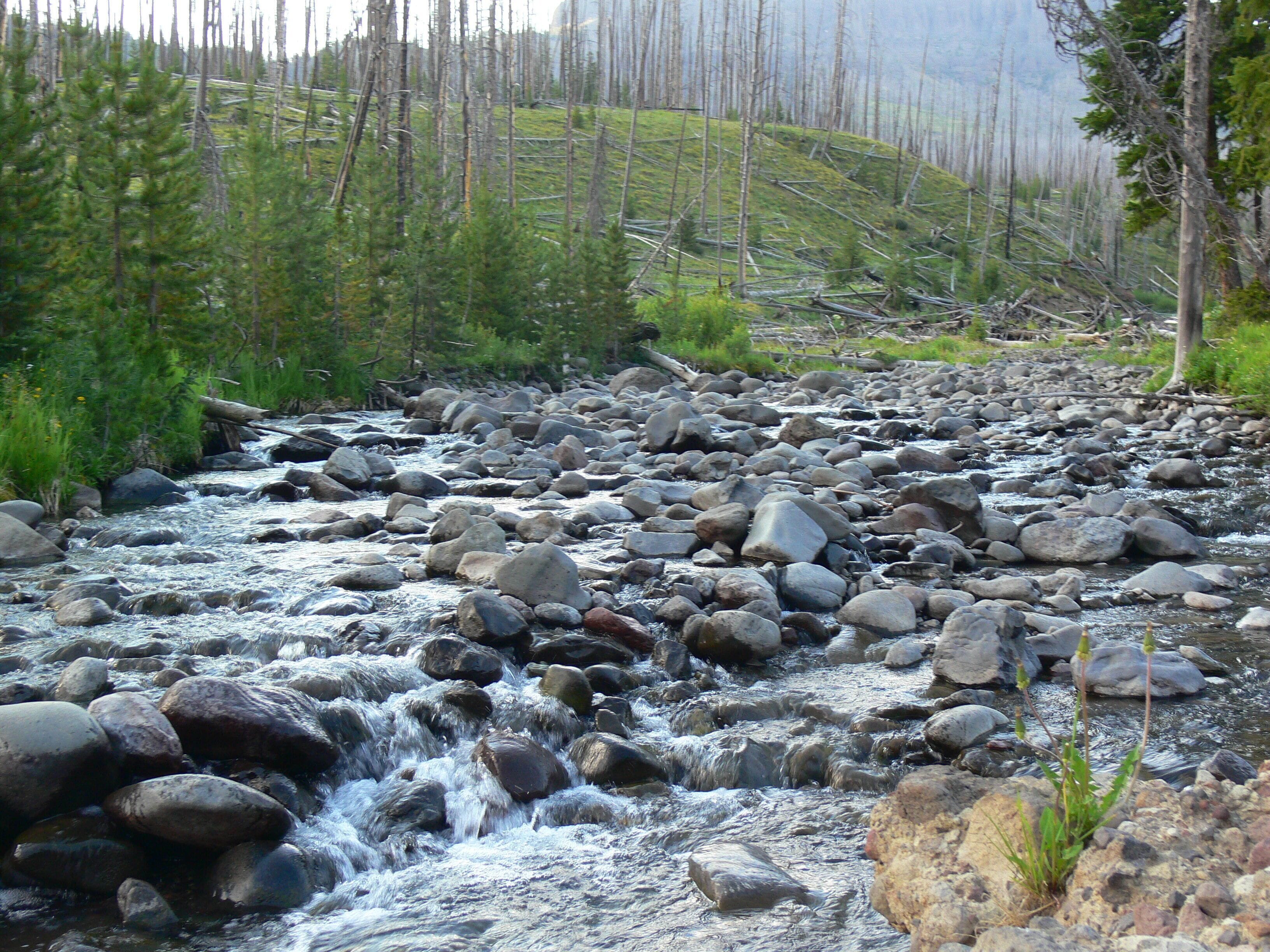 Une rivière bordée de rochers et de végétation.