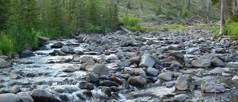 Une rivière bordée de rochers et de végétation.
