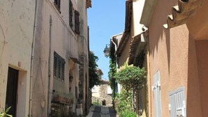 Une ruelle étroite entre deux bâtiments, bordée de plantes en pot et dotée d’un chemin pavé.