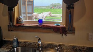Une cuisine dotée d’un évier à deux bacs, d’une fenêtre donnant sur un champ où l’on peut voir des chevaux, et d’un luminaire suspendu.