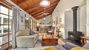 Televisión, chimenea y libros 