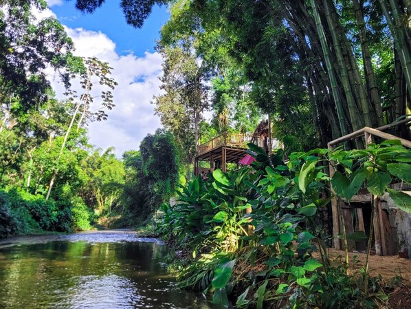 Een 32-inch smart-tv met satellietzenders, Netflix en streamingdiensten