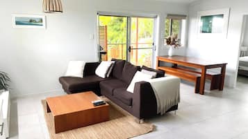 TV, DVD player, books, video library