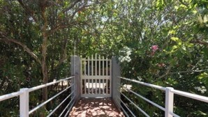 Un sendero con una puerta blanca que da paso a una zona verde y exuberante.