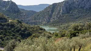 Paisatge de muntanyes amb un riu, línies elèctriques i vegetació densa.