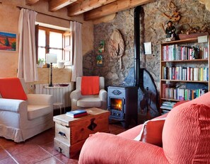 TV, fireplace, video games, DVD player