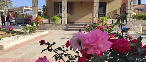 المنطقة المحيطة بالمنشأة