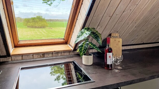 A kitchen with a window view, a sink, a potted plant, a bottle of wine, and a wine glass. - Kranich by Interhome (Lübz)