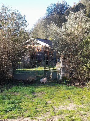 Eine rustikale Holzhütte mit einem Metall-Dach, umgeben von dichtem Gebüsch und Bäumen.