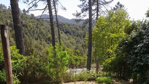 Un patio con banco, mesa y vistas a un paisaje selvático.