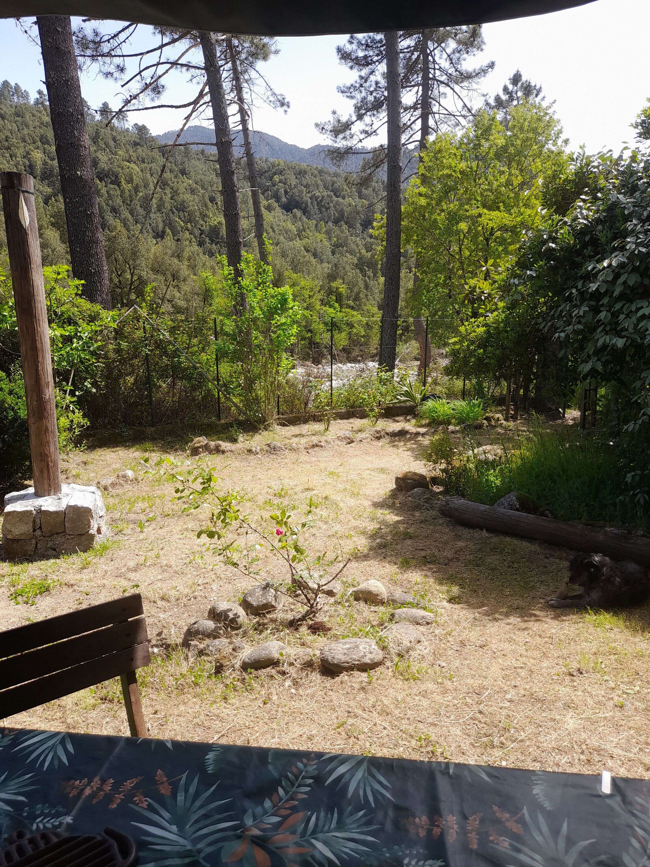 Área da propriedade