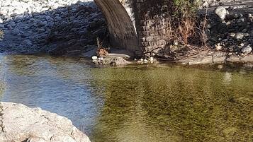 A stone bridge over a clear river with rocky banks and sparse vegetation.