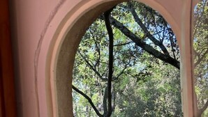 A window with an arched frame, through which a forested area is visible. - Holiday Home 'Orangerie' with Mountain View, Shared Terrace and Wi-Fi (Bonnieux)
