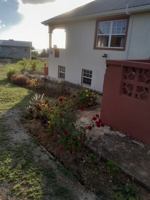 Property grounds - A spacious, self catering apartment minutes away from Holetown and Chefette (Orange Hill)