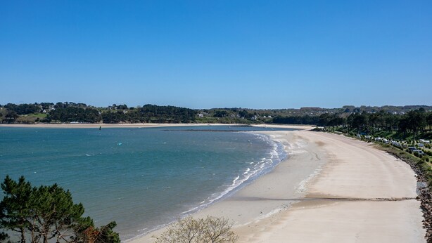 Ein Strand mit blauem Himmel, sandigem Ufer und einer fernen Baumreihe.