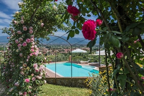 A pool surrounded by lush greenery and pink roses, with a view of a distant town. - Villa 'Podere Bucigattolo' with Private Pool, Wi-Fi and Air Conditioning (Serravalle pistoiese)
