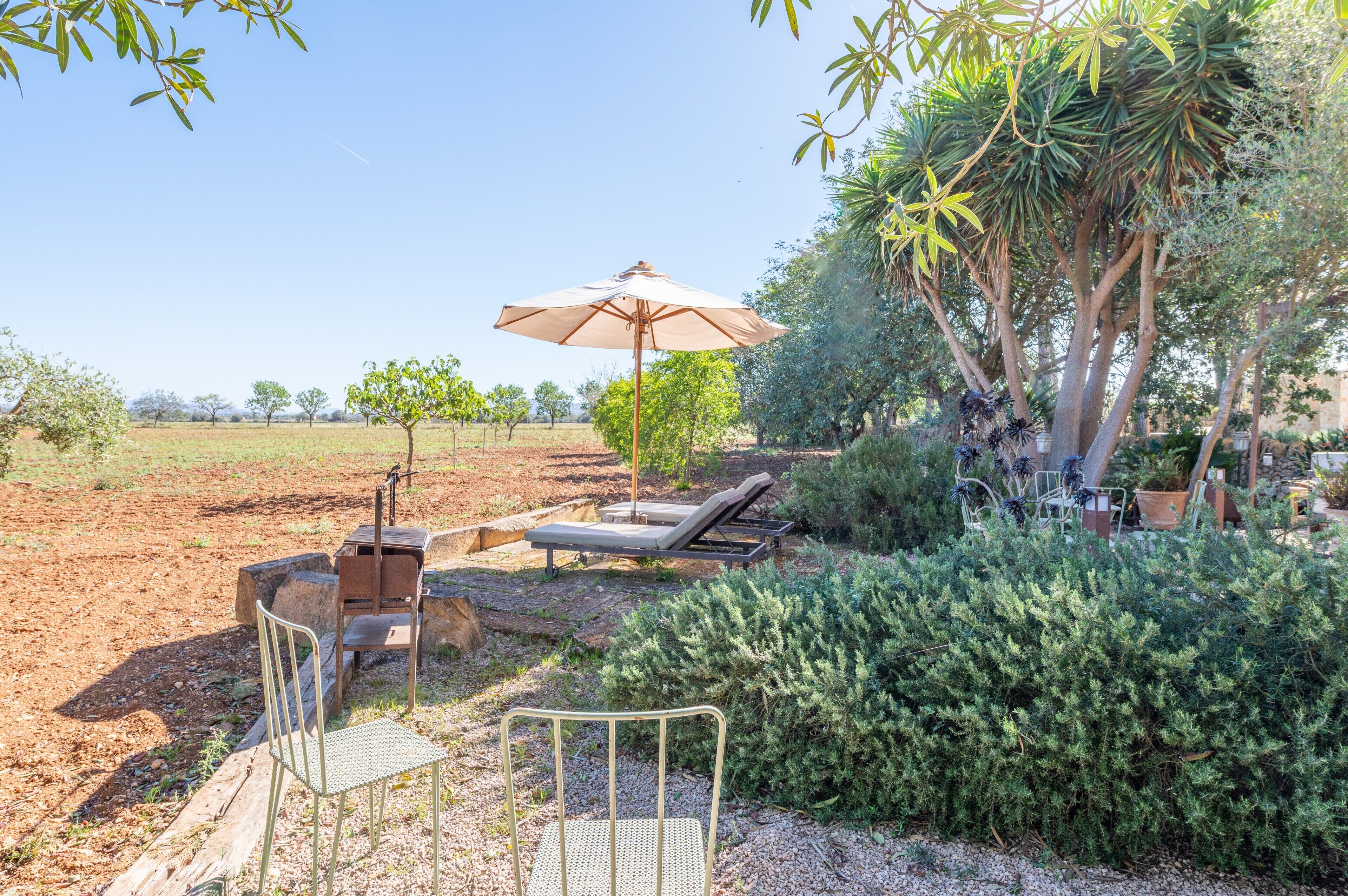 Eine Terrasse mit Tisch, Stühlen, einem Sonnenschirm und einem kleinen Baum.