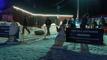 Área de entrada coberta de neve com uma placa indicando 'TUBE HILL ENTRANCE' e estátuas de pinguins.