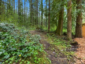 Property grounds - Modern Conveniences, Rustic Charm - Mt Air Unit 12 (Mount Hood Village)