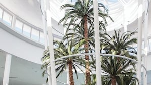 Een ruime, overdekte atrium met hoge plafonds, palmbomen en moderne zithoeken.