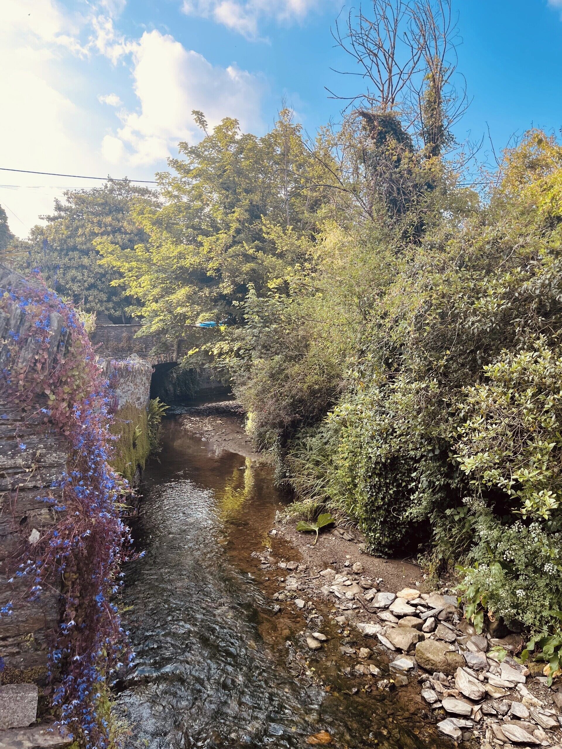 Un arroyo serpenteando a través de un área boscosa con un puente de piedra.