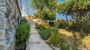 A stone pathway leading to a house with a stone wall on one side and a garden with various plants and trees.