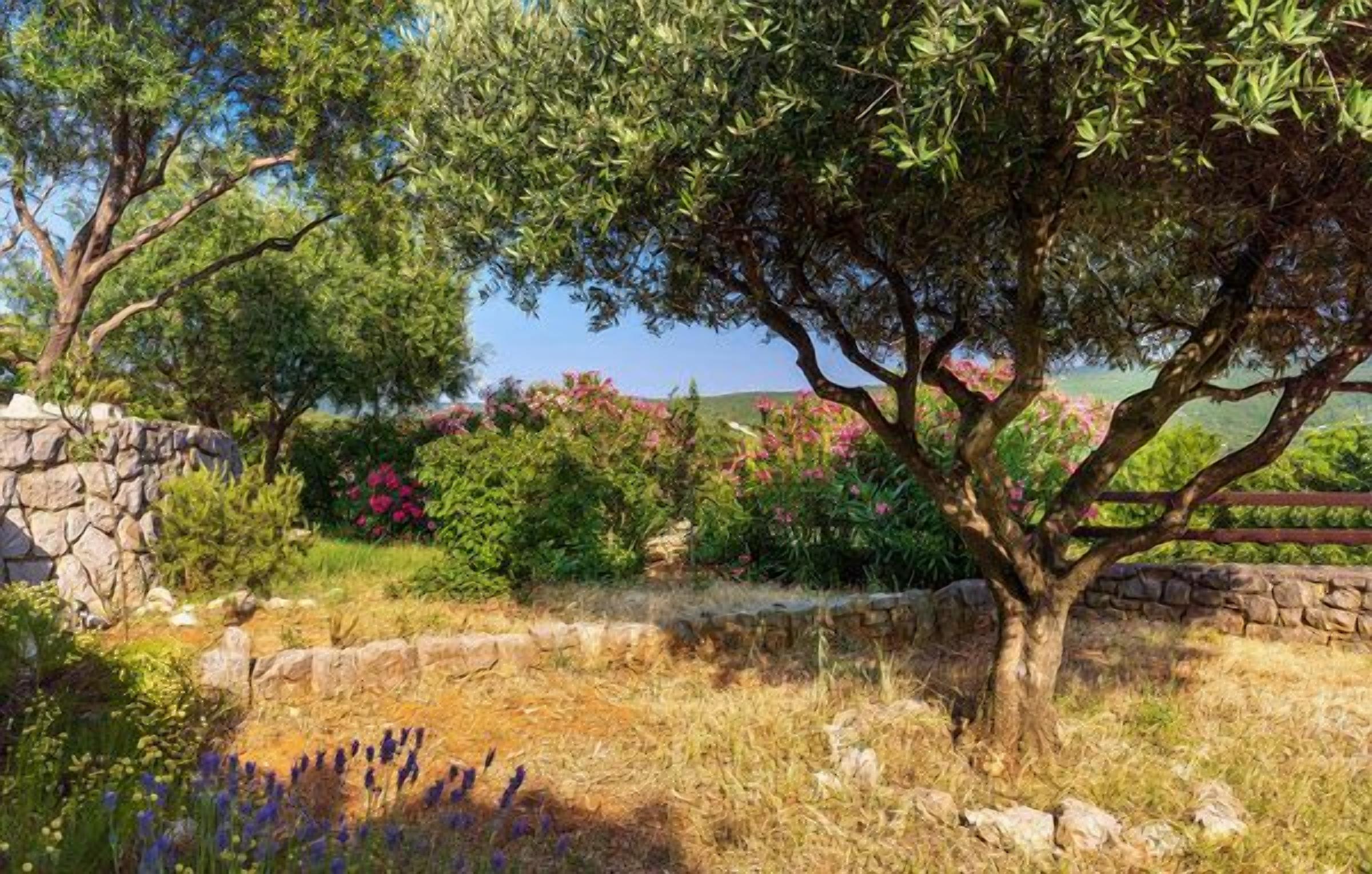Ein Garten mit Steinmauer, Baum und verschiedenen Pflanzen.
