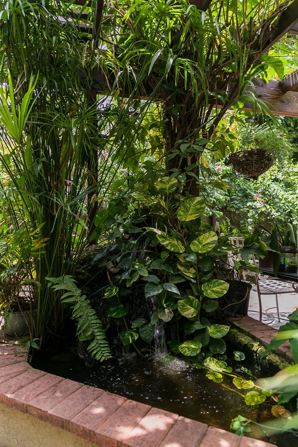 Property grounds - Botanic Bliss Living in Kingston (Kingston)