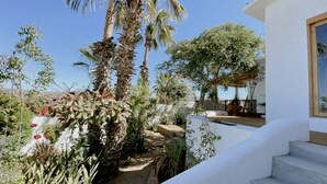 A courtyard with palm trees, a white wall, and a wooden bench. - Casa Núuk (Todos Santos)