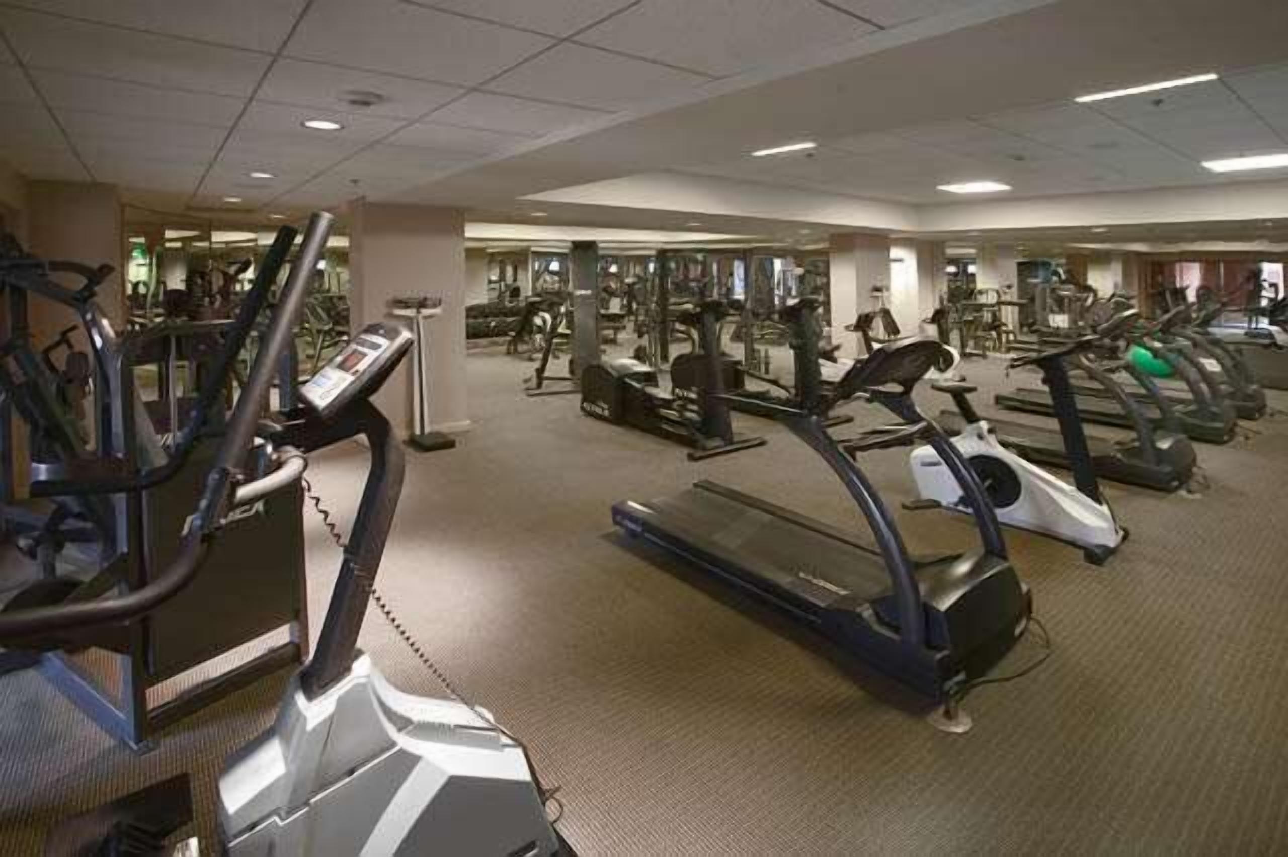 A gym with treadmills, ellipticals, and weight machines.