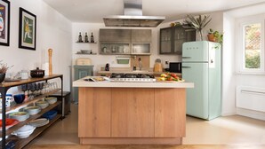 A compact kitchen with a central island, stainless steel appliances, and a potted plant.