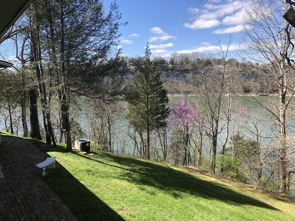 Property grounds - My Old KY Lakehouse - Next to Burnside Marina on Lake Cumberland. 5,000+sf. (Burnside)