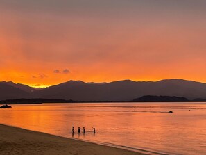 Beach nearby - Poharadise - classic family bach near the beach, pet friendly (Pohara)